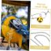 COSMEVIVI 1 Set Parrot Leash Chain Parrot Harness Chain Bird Flying Harness Silver - Buy Online on GoSupps.com