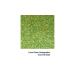 Hemway Extra Chunky Glitter 100g - Cosmetic Safe Lime Green Holographic 1mm | Perfect for Crafts & DIY - Buy Online on GoSupps.com