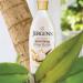 Jergens Shea Butter Lotion 8 oz - Deep Moisturizing & Nourishing Skin Care | International Shipping Available - Buy Online on GoSupps.com
