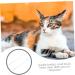 Angoily 2pcs Supplies Tools Cleaners Tooth Pets Teeth Manual Cat Portable Puppy Home Dog Care Soft-bristle 1 count (Pack of 1) White - Buy Online on GoSupps.com