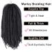 4 Packs Afro Kinky Braiding Hair Extensions - 20 Inch Black Synthetic Twist Crochet Braids - Buy Online on GoSupps.com
