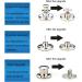 12 Pcs ICEYLI 17mm Metal Jeans Buttons Replacement Kit - No-Sew, Removable, Repair Combo - Buy Online on GoSupps.com