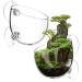 Vtinyeal 2 pieces aquarium plant keep Cup aquarium decoration - water plant pot with suction cups aquarium plants glass pot for aquarium accessories