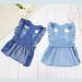 Luxury Dog Dress for Small Dogs - Rock & Princess Styles Evening Tutu & Jeans Skirt | Light Blue Puppy Clothing - Buy Online on GoSupps.com