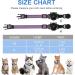 Agoumlux Airtag Reflective Cat Collar with Bell - Adjustable Safety Buckle for Young Cats | Violet (S: 23-33 cm) | International Shipping - Buy Online on GoSupps.com