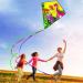 HENGDA KITE Prism Dinosaur Park & Diamond Kite Set - Easy-to-Fly for Kids & Adults - Excellent Fabric - Two Sets in Individual Packaging - Accessories Included (23x27in) - Buy Online on GoSupps.com
