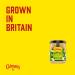 Colman's Bramley Apple Sauce Jar 155g - Delicious Apple Sauce for Cooking and Desserts - Buy Online on GoSupps.com