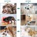 Buy Heele Dog Muzzle - Soft Nylon Breathable Mesh Muzzle for Dogs | International Shipping Available - Buy Online on GoSupps.com