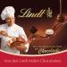 Buy Lindt Lindor Milk Chocolate Balls | 137g Bag | Perfect Praline Gift | 10 Indulgent Melting Fillings - Buy Online on GoSupps.com
