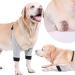 Dog Elbow Protector Joint Pet Knee Matdog Knee Matdog Leg Brace Pet Dog Joint Warm Cover Dog Elbow Protector Joint (XL) - Buy Online on GoSupps.com