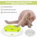 Pettom Interactive Cat Toy | Electric Butterfly Funny Exercise Toy for Kittens | Rotating Pop N Play Toy with Replacement Feathers | Green - Buy Online on GoSupps.com