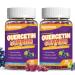 2 Pack Quercetin Gummies 1000mg Quercetin with Bromelain Zinc Elderberry Immune & Antioxidant Support Vegan Gummies for Adults & Kids 120 Count 60 Count (Pack of 2)