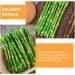 ifundom 50 Pcs Simulated asparagus ornaments food display show ornament kitchen food decor faux veggies Realistic vegetables artificial asparagus Educational Props pvc bouquet cupboard - Buy Online on GoSupps.com