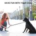 Dog Slip Leads Leash 4.5FT Durable Puppy Rope Leashes Collar Nylon Dog Training Walking Lead Leashes for Small Medium Dogs (Black) Black Medium - Buy Online on GoSupps.com