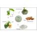 Raya Seaweed Masque | Hydrating Facial Treatment Mask for All Skin Types | Vitamins & Minerals Infused - Buy Online on GoSupps.com