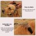 Durable Nylon Dog Collar and Leash Set | Heavy Duty Braided Training Leash for Small, Medium, Large Dogs - Purple - Buy Online on GoSupps.com