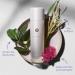 Tatcha The Essence - Oil-Free Moisturizing Serum with Green Tea | 150ml | International Shipping Available - Buy Online on GoSupps.com