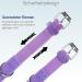 Jiaarui Airtag Cat Collar - Soft GPS with Apple AirTag Bracket & Bell Light Tracker for Young Cats (Purple) - Buy Online on GoSupps.com