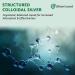 Premium SilverGuard Enhanced Colloidal Silver Liquid 30ppm Immune Support - 32 oz (16 oz 2 Pack) - Buy Online on GoSupps.com