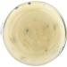 Captain Toady's Tartar Sauce - 8 oz | Premium Quality Condiment - Buy Online on GoSupps.com