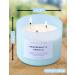 Grapefruit Vanilla 3 Wick Scented Candle | Aromatherapy Stress Relief | Natural Soy Candle | 15.8 oz Spa Freshness | Highly Scented Candle for Home & Relaxation - Buy Online on GoSupps.com