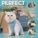 Avont Katzenbody Recovery Suit for Cats | Post-Op Healing Leak Protection Abdominal Wounds Skin Issues - Blue S - Buy Online on GoSupps.com