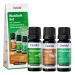 Casida forest air set with spruce needle oil stone pepper oil & peppermint oil - essential oils set natural - therapeutic quality - for aromatherapy aromadiffuser - from the pharmacy - 30 ml