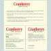 BADER's Cranberry Plus Acerola Rooibos Tea - 40 Filter Bags - Immune Support & Antioxidants - International Shipping - Buy Online on GoSupps.com