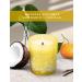 Coconut Mandarin Vanilla Candles - Luxury Highly Scented Soy Candles for Home | Tropical Beach Aromatherapy Relaxation Gifts - Buy Online on GoSupps.com