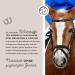 Annimally Joint Liquid for Horses 1000ml - Devil Claw Glucosamine & MSM for Joint Health - Liquid Supplement Alternative to Powder - Buy Online on GoSupps.com
