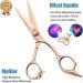 Professional Purplebird 6-Inch Hairdressing Scissors Sharp Japanese Stainless Steel Shears for Men & Women with Bronze Wing Grip - Buy Online on GoSupps.com