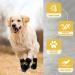 2 Pairs Anti Slip Dog Socks Paws Stop Licking Dog Cat Paw Protectors with Waterproof Rubber Bottom and Adjustable Straps Dog Claw Socks for Puppy Dog Indoor Outdoor Hardwood Floor Walking (M) - Buy Online on GoSupps.com