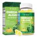 10-in-1 Vegan Omega-3 Gummies 1500mg with DHA 600mg, EPA 400mg, Phytosterols, Turmeric, CoQ10, Phosphatidylserine, Monk Fruit, Algae Omega 3 Supplement Fish Oil Alternative for Adults & Teens - 60 Cts
