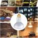 OMAYKEY 2-Pack 50W Basking Spot Heat Lamps Soft White Glow UVA Glass Cover Heat Lamp/Bulb/Light for Lizard Reptiles and Amphibians - Buy Online on GoSupps.com