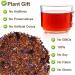 Plant Gift Blueberries Rooibos Tea mango flavor loose leaf rooibos tea grapes rose flower blueberries and chrysanthemum no caffeine hot and iced tea nonGMO herbal tea 70 g25oz - Buy Online on GoSupps.com