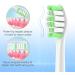 Philips Sonicare Toothbrush Replacement Heads - 10 Pack OralClass Medium Soft Brush Head Refills - Compatible with C2 4100 5100 hx6250 G2 & 3 Series - Bright Green - Buy Online on GoSupps.com