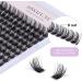 144Pcs Individual Cluster Lashes D Curl 14mm - Soft Natural False Eyelashes for DIY Eyelash Extensions at Home - Pack of 1 - Buy Online on GoSupps.com