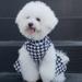 Cuteebone Houndstooth Dog Dress with Turtleneck | Puppy Skirt Costume & Pet Outfit | Perfect Birthday Gift for Dogs - Buy Online on GoSupps.com