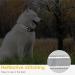 Heele Soft Padded Neoprene Dog Collar for Small & Medium Dogs | Adjustable & Reflective Gray Collar for Training | XS 20-30 cm (1 Pack) - Buy Online on GoSupps.com