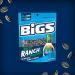 Bigs Sunflower Seeds Zesty Ranch Flavour - 8x140g Bags 8 Count Ranch 4.9 Ounce (Pack of 8) - Buy Online on GoSupps.com