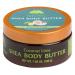 Tree Hut Shea Body Butter 7 Ounce Coconut Lime (207ml)