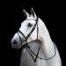 St bben Bridle 2810 Switch Magic Tack - Black Varnish Warmblood with Curved Noseband | International Shipping - Buy Online on GoSupps.com
