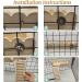 BNOSDM Hamster Wooden Platform with Climbing Ladder - Cage Accessories for Small Animals - Buy Online on GoSupps.com