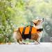 Dog Chimney Reflective Life Jacket | Adjustable Dog Lifeguard Vest | Pet Floating Swimming Jacket with Rescue Handle | Summer Pool & Boating Swimwear (M) - Buy Online on GoSupps.com