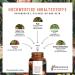 Guarana Capsules with Mate Green Tea & Green Coffee - Vegan Caffeine Tabs (120ct) | Boost Energy with L-Tyrosine & B Vitamins - Buy Online on GoSupps.com