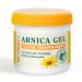 Dr Theiss Arnica Gel Rapida