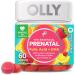 Pre-Seed Fertility Lubricant and Olly Prenatal Gummy Multivitamin with Omega 3 DHA 60 Count - Buy Online on GoSupps.com