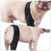 Amosfun 2pcs Comfy Brace Paw Balm Dogs Lick Safe Step in Dog Harness Leg Supplies Bracket Elbow Pads The Dog Sx2pcs As Shownx2pcs - Buy Online on GoSupps.com