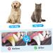 Levemolo 1pc Pet Single Head Toothbrush Brush Teeth Care Brush Dog Toothpaste Plastic - Buy Online on GoSupps.com