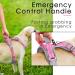 Buy Thinkpet Anti-Zug Dog Harness - Adjustable Breathable & Reflective | Control Your Dog with Ease - Bright Pink (Large 1 Pack) - Buy Online on GoSupps.com